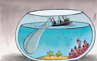 Overfishing