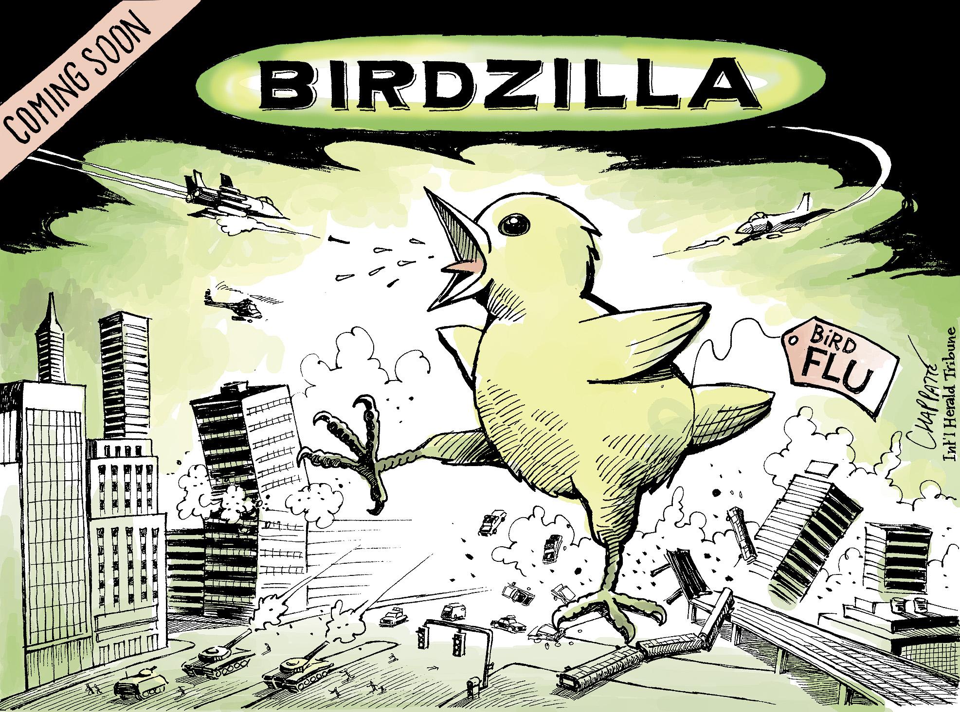 Bird flu scare