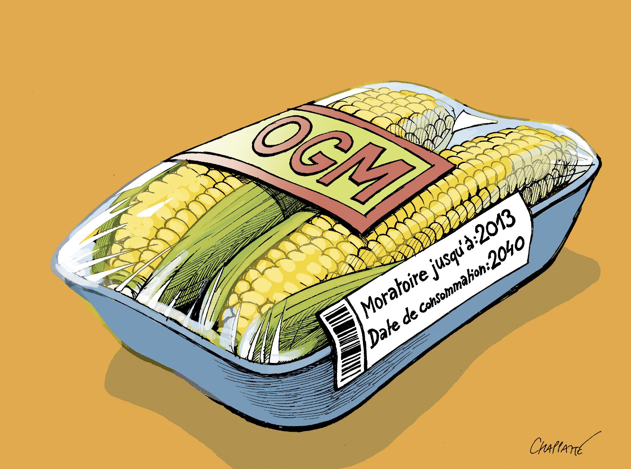 Moratoire sur les OGM