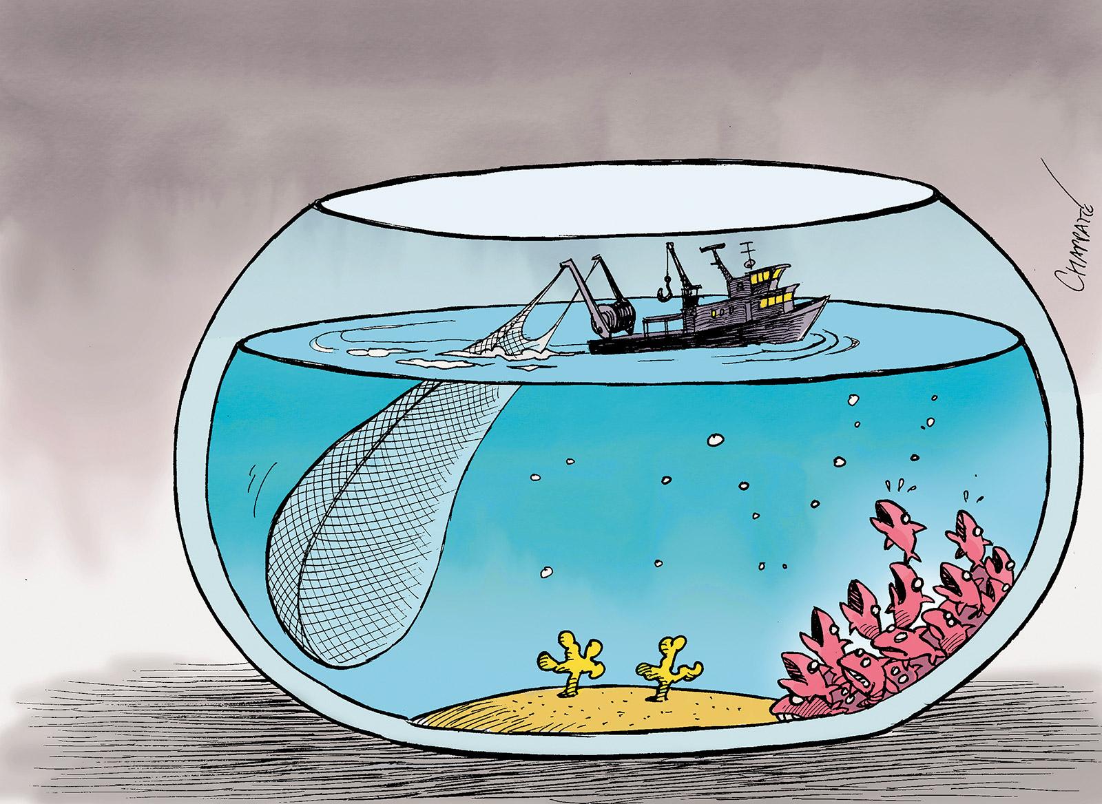 Overfishing