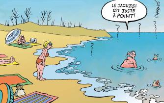 Températures des mers: année record