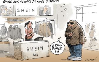 L'affaire Shein