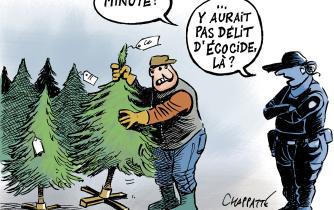 Les sapins de Noël arrivent