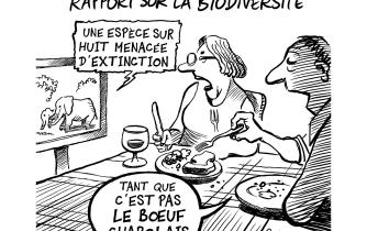 Rapport sur la biodiversité