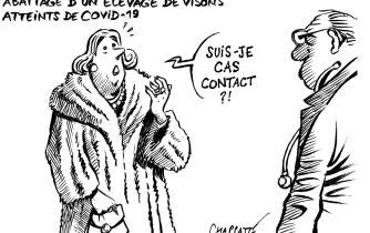 Les visons et le virus