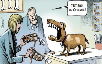 Genève: On musèle les chiens