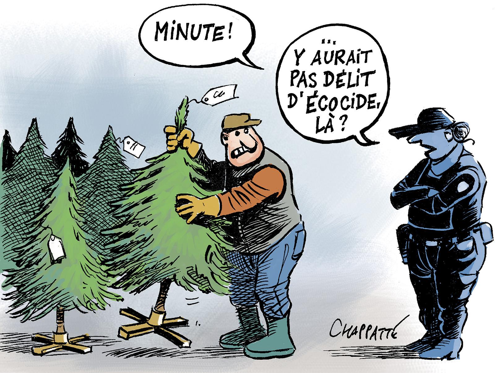 Les sapins de Noël arrivent