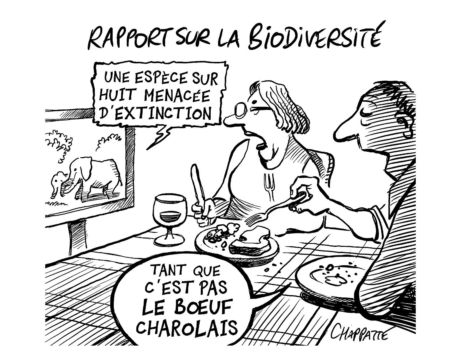 Rapport sur la biodiversité