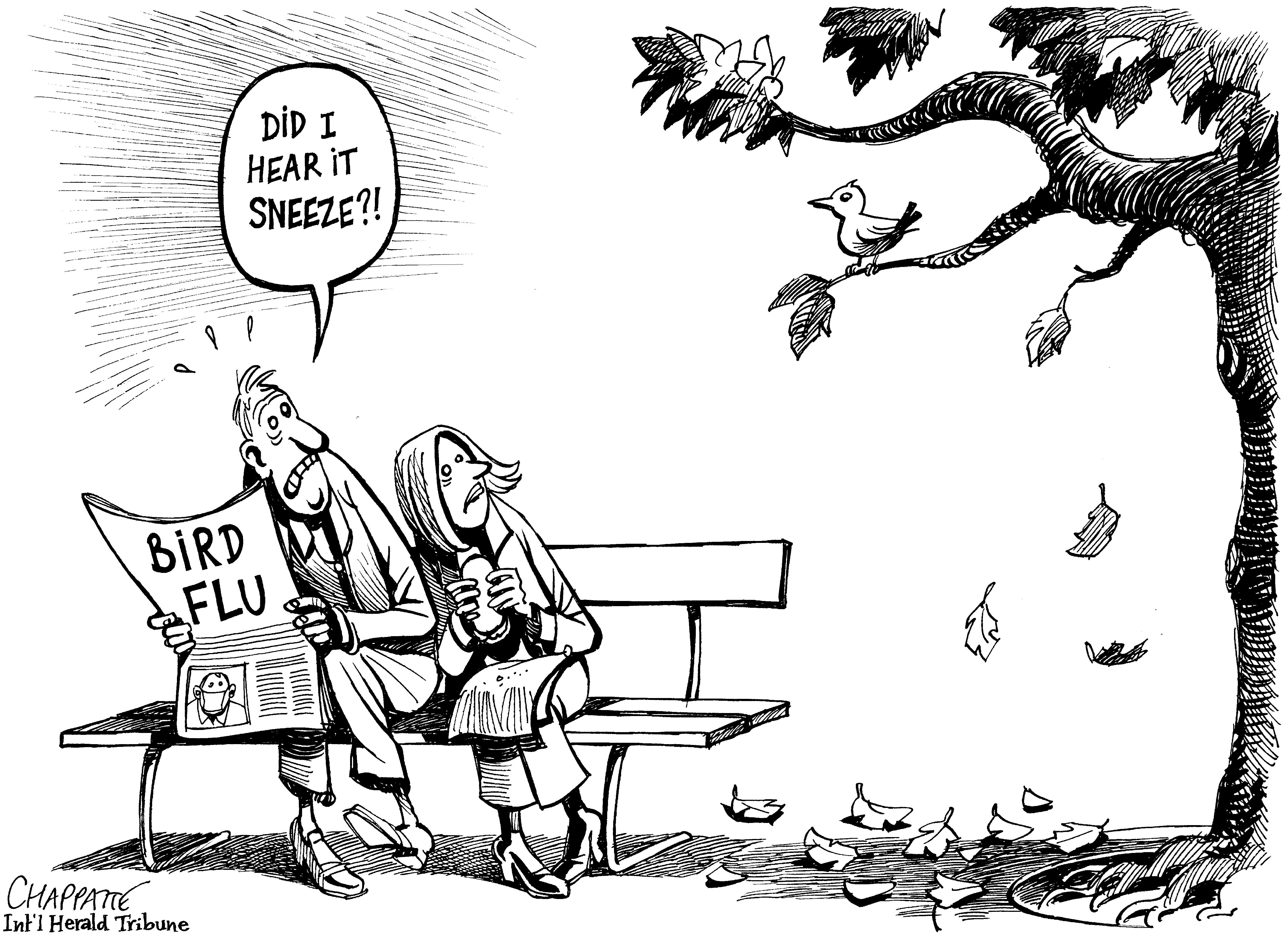 Bird flu?