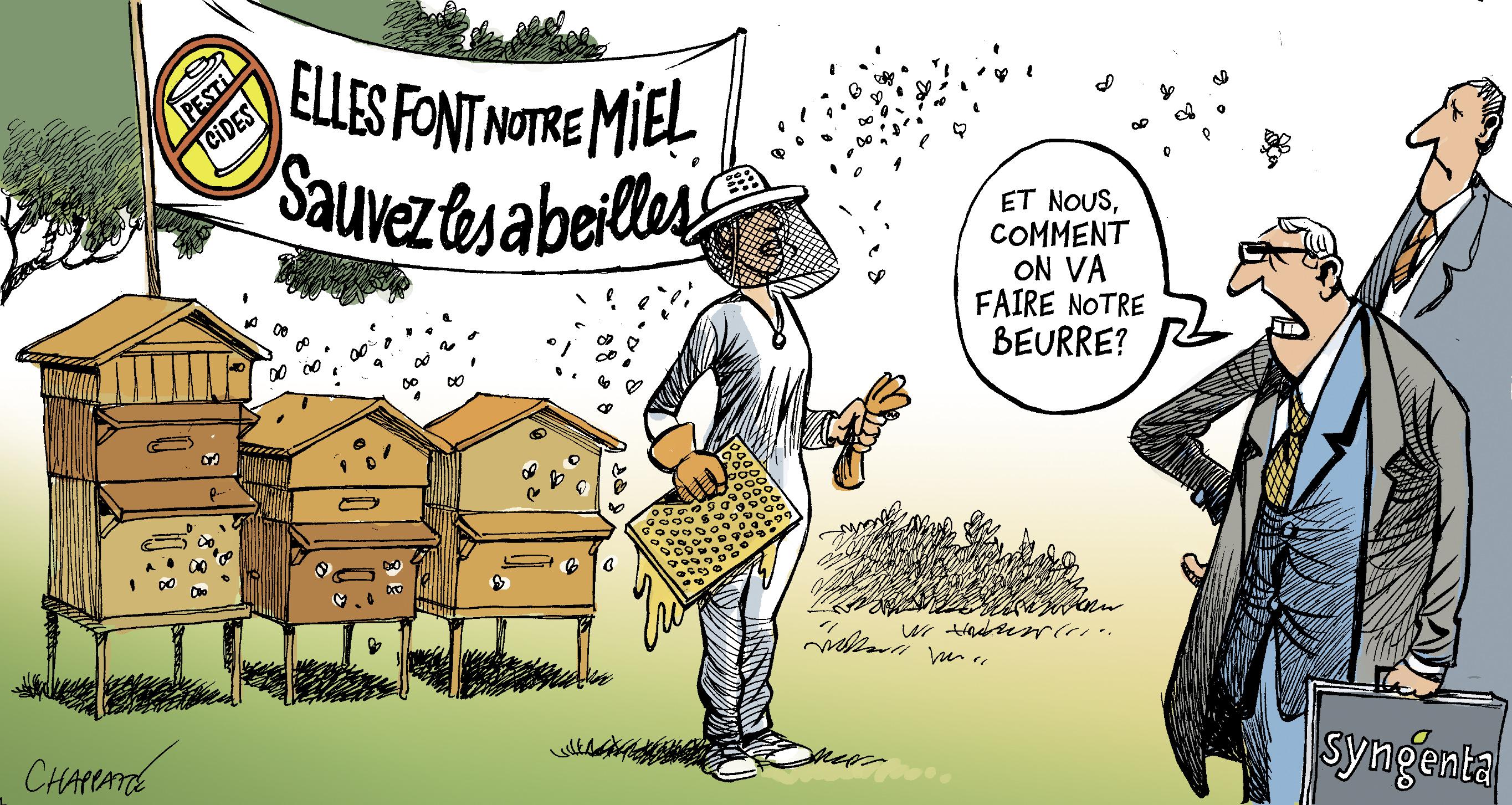 Interdiction de pesticides tueurs d'abeilles