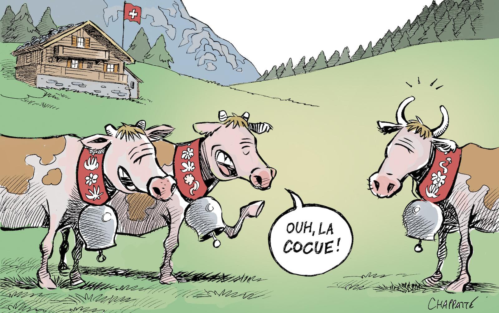 Des vaches avec ou sans cornes? Les Suisses vont voter.