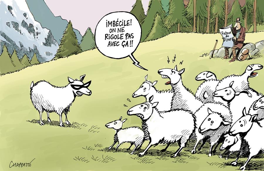 Retour du loup dans le Jura 