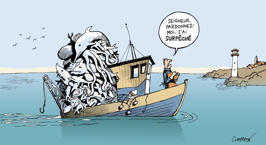 Les poissons pourraient disparaître d'ici 2050 Les poissons pourraient disparaître d'ici 2050 Les poissons pourraient disparaître d'ici 2050