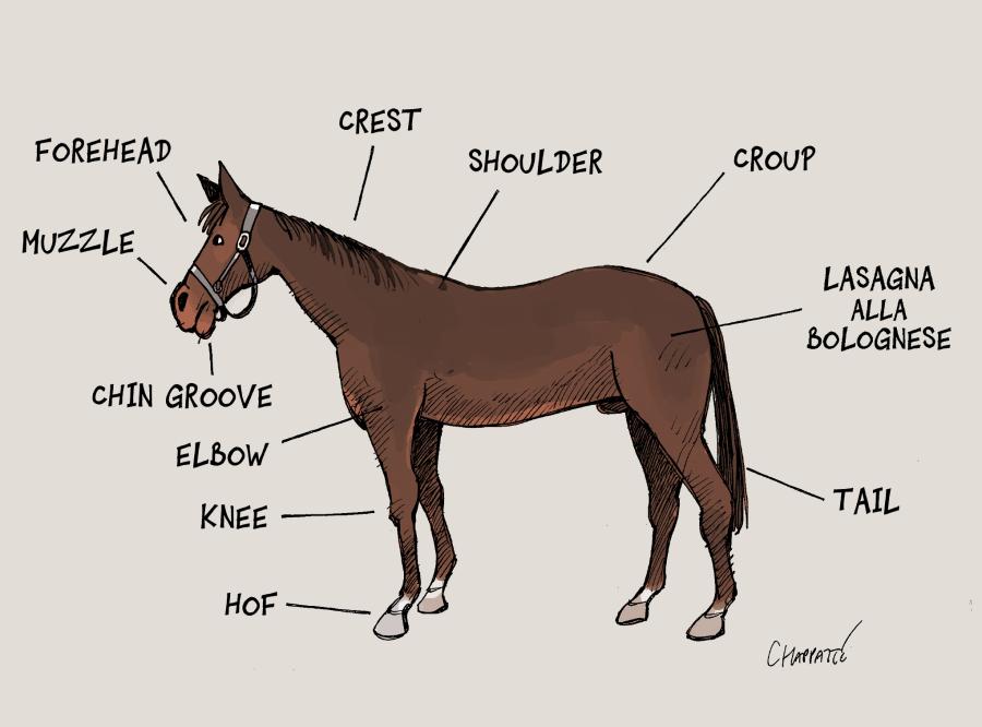 Of horses and meat Of horses and meat
